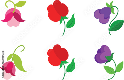 Sweet Pea Flower Color Vector Illustration