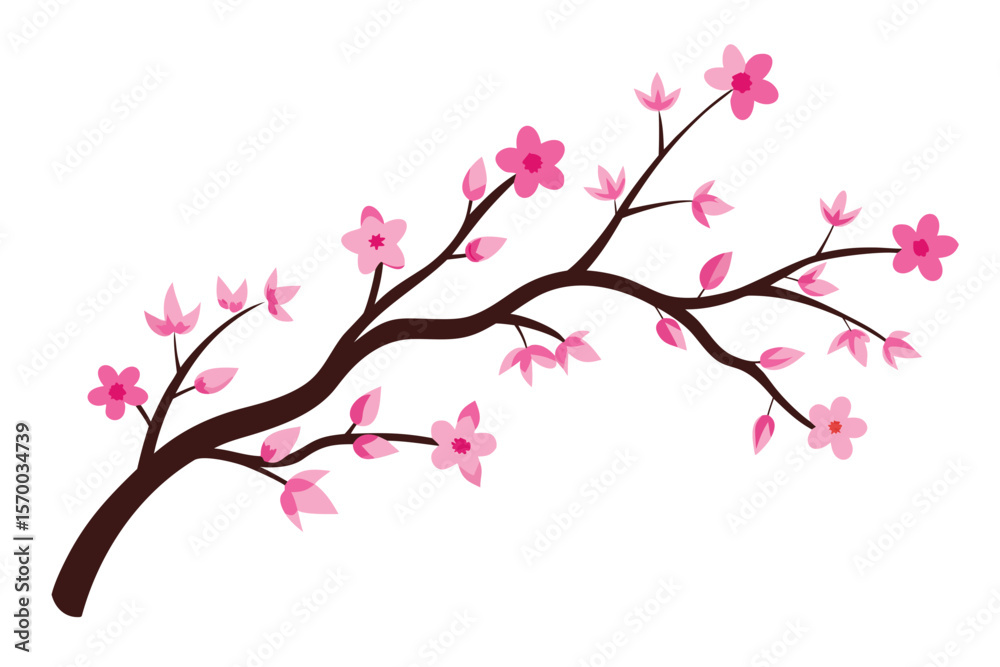 Fototapeta premium Cherry Blossom Tree Branches on White Background