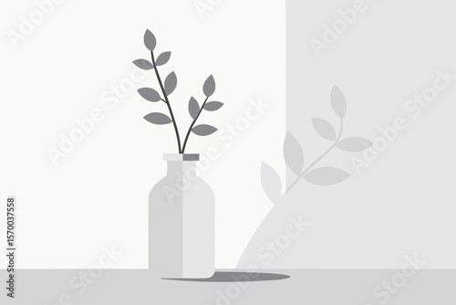 Still Life with Shadow of Plant on White Backdrop