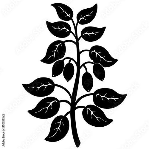 Bean Plant  vector in AI format ideal for food, nutrition, vegan, and organic design projects.