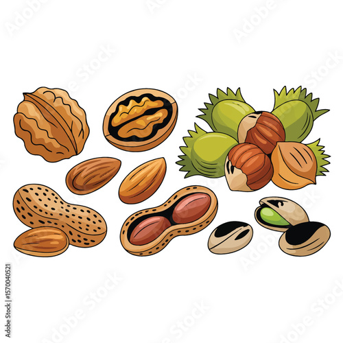 Assortment of delicious and healthy nuts including walnuts peanuts almonds hazelnuts and pistachios