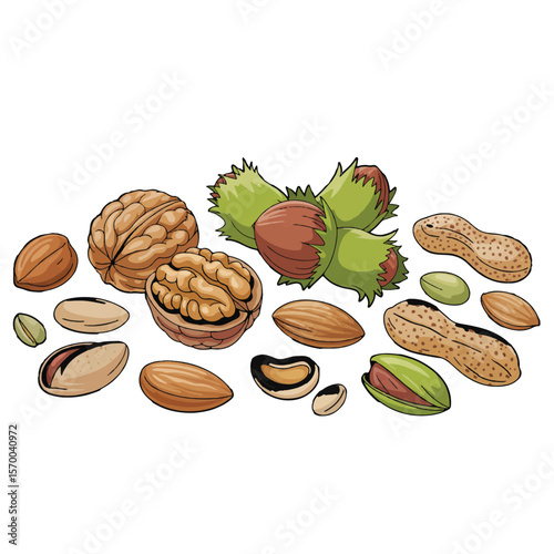 Assortment of healthy nuts including walnuts almonds pistachios peanuts and hazelnuts