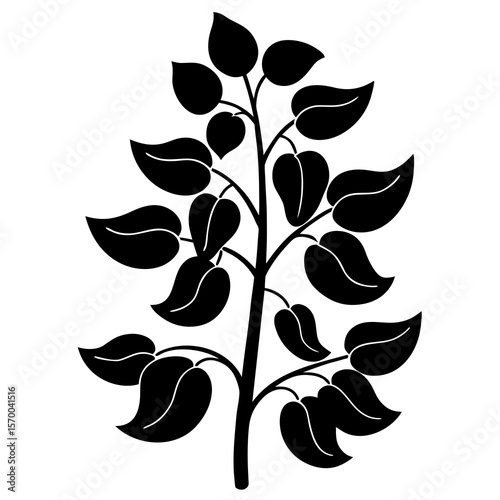 Bean Plant  vector in AI format ideal for food, nutrition, vegan, and organic design projects.