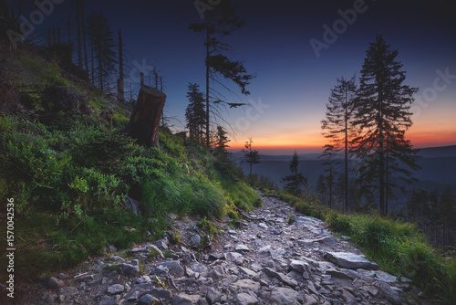 Fototapeta Naklejka Na Ścianę i Meble -  Brania Góra - Wisła