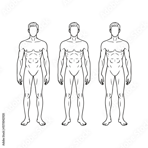 Three stylized male figures with muscular physiques shown from head to toe