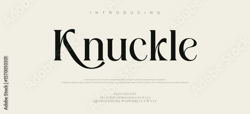 Knuckle signature Font Calligraphy Logotype Script Brush Font Type Font lettering handwritten