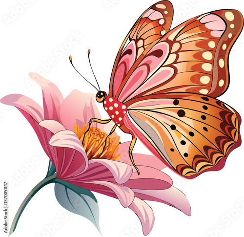 butterfly on flower
