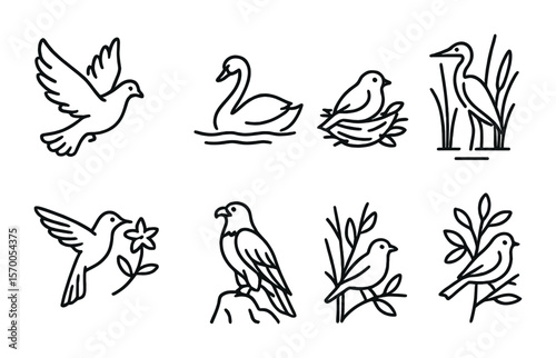 Vector Bird Icons. Outline vector icons of birds in serene environments: dove in flight, swan in lake, sparrow