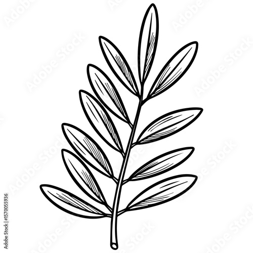 Image effects showcase of an olive branch with delicate leaves and detailed veins. Image effects feature crisp lines and simple elegance, creating a timeless artistic impression on plain background.