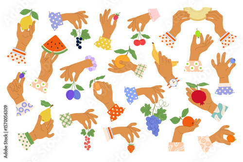 Female hands hold ripe fruits: pear, apple, cherry, plum, gooseberries, grapes, currants, watermelon, melon, apricot, peach, grenade, strawberries, raspberries, lemon, orange, blueberries. Vector set.