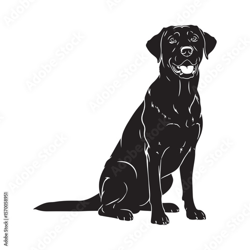 Black labrador retriever dog sitting patiently silhouette isolated on white background Art & Illustration