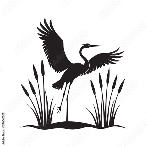 Flying Heron Over Tall Reeds Silhouette