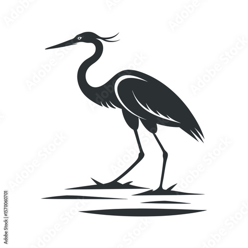 Heron Walking Near Riverbank Silhouette