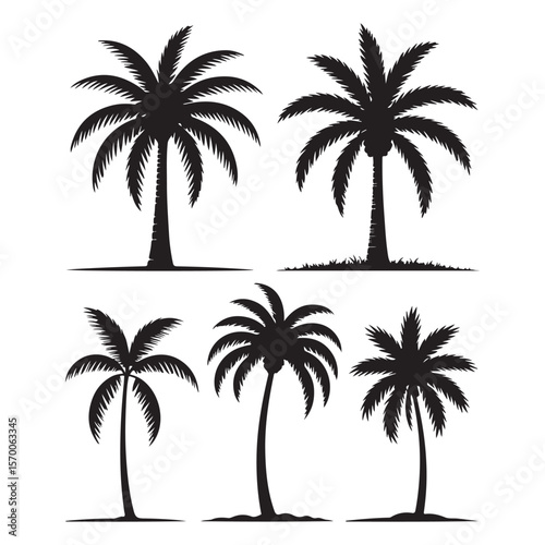 set of vector palms tree