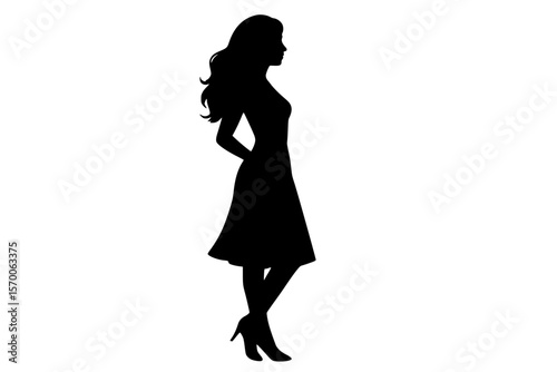 Elegant Silhouette of a Woman in a Dress
