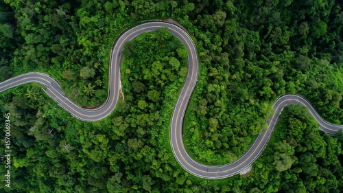 Aerial view of a winding road through a lush green tropical forest