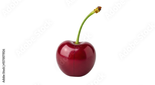 Isolated Dark Red Cherry