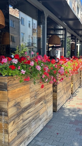 Red and pink flowers at the entrance to the restaurant. Pelargonium peltatum. 