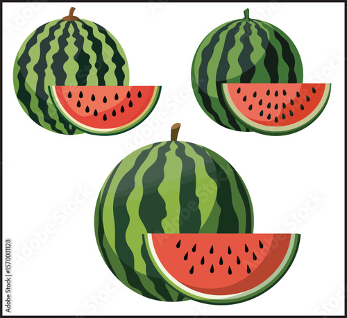 Whole Watermelon and Slice Set Vector Illustration