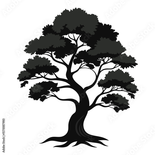 Juniper Tree Vector black color on white color bacground