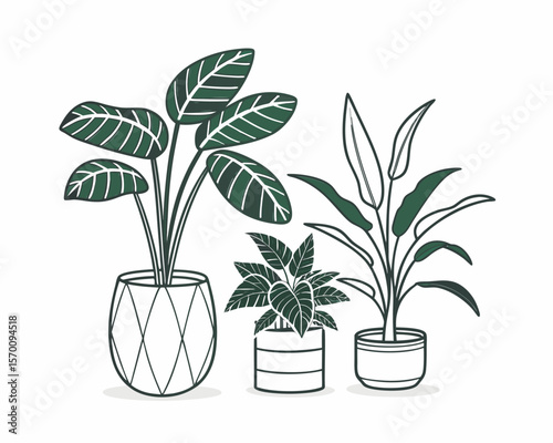 Three potted houseplants illustration in minimalist style