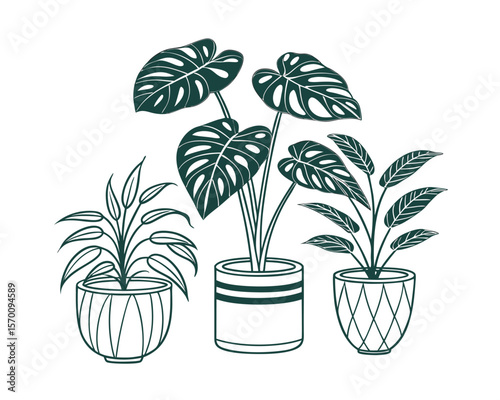 Three potted plants in decorative planters
