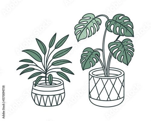 Two potted plants in stylish planters