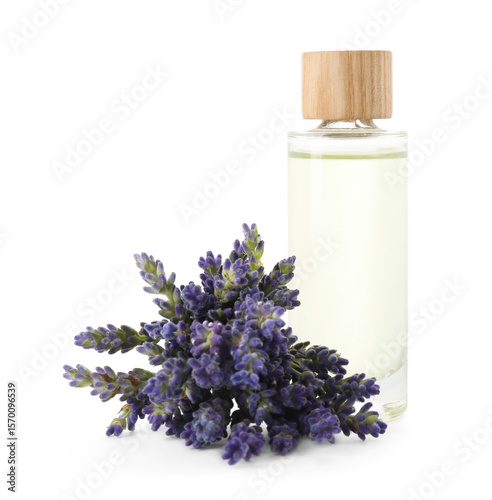Natural essential oil and lavender flowers isolated on white