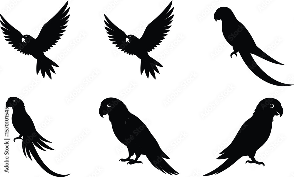 Obraz premium Conure Silhouette Flying Angled Wings Vector Illustration