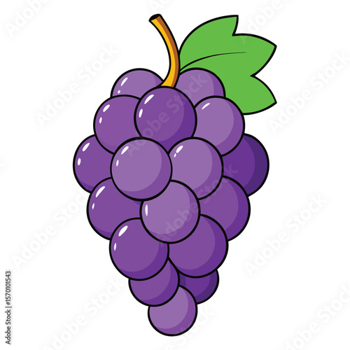 A bunch of purple grapes is isolated on white background
