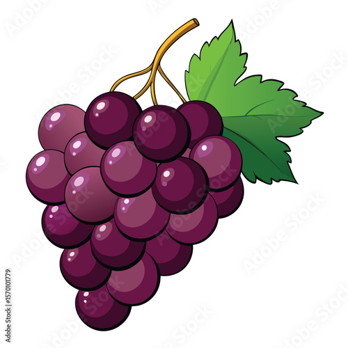 A bunch of purple grapes is isolated on white background