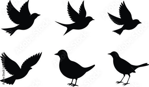 Lark Silhouette Flying Song Flight Vector Illustration