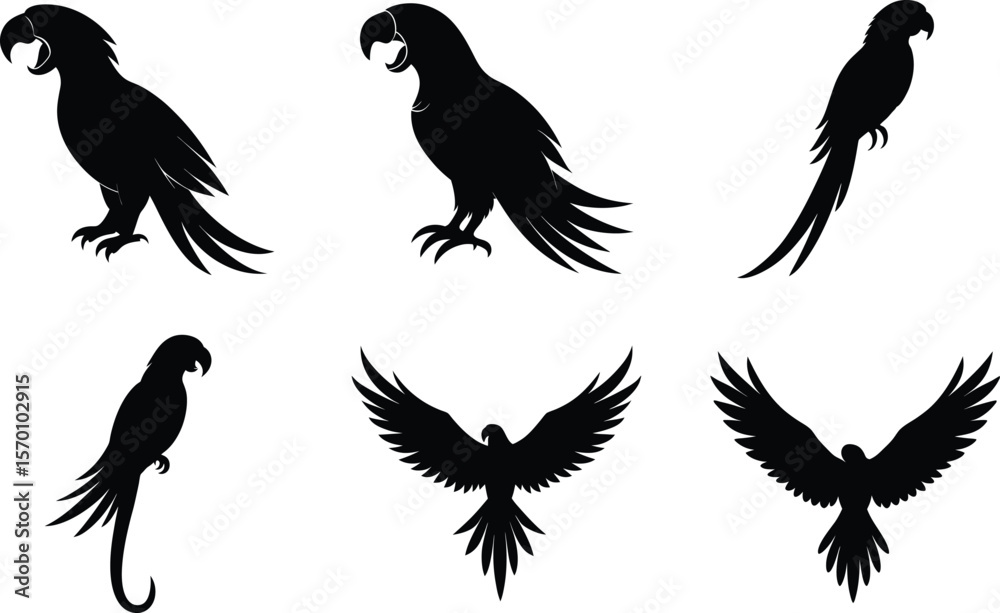 Obraz premium Macaw Silhouette Calling Raised Beak Vector Illustration