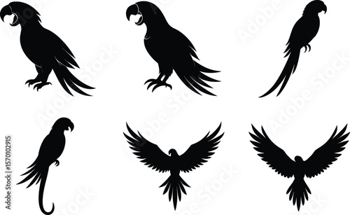 Macaw Silhouette Calling Raised Beak Vector Illustration