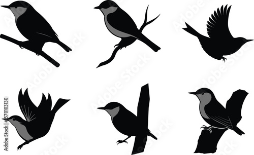 Nuthatch Silhouette Perched Sideways Vector Illustration