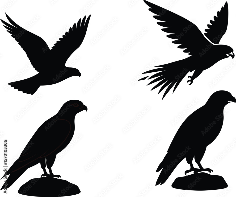 Fototapeta premium Peregrine Falcon Silhouette Diving Swiftly Vector Illustration
