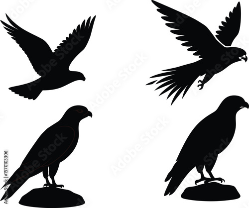 Peregrine Falcon Silhouette Diving Swiftly Vector Illustration