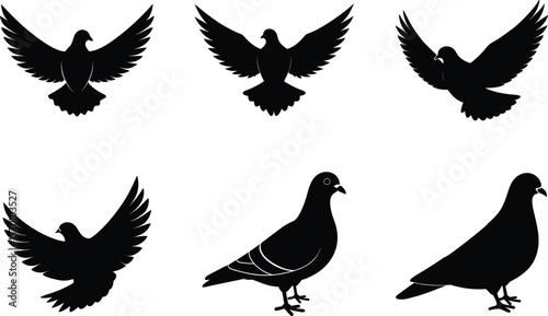 Pigeon Silhouette Vector Illustration