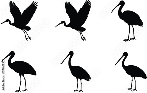Spoonbill Silhouette Standing One Leg Raised Vector Illustration