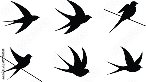 Swallow Silhouette Perched Wire Vector Illustration