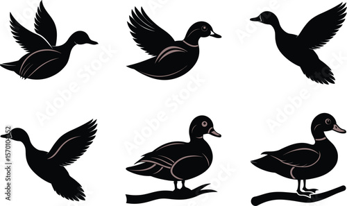 Wood Duck Silhouette Gliding Long Tail Vector Illustration