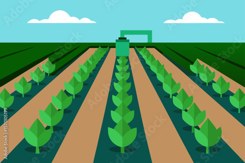 lush green rows under automated drip system