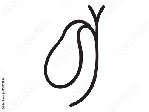 Black outline of human gallbladder isolated on white background, graphic illustration. Concept of internal organ, digestive system, bile storage, anatomy icon, healthcare design element