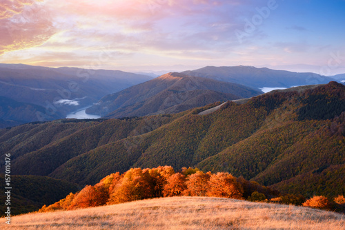 Fotografi Fiery red beech forest lit by setting sun over autumn mountain terrain