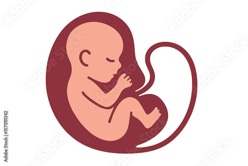 Vector icon of a fetus, a prenatal human child accompanied by a placenta silhouette, set against a white background