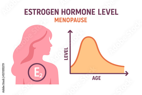 An abstract representation of estrogen levels is depicted in a creative vector illustration, set against an infographic background related to menopause and female sex hormone templates, alongside