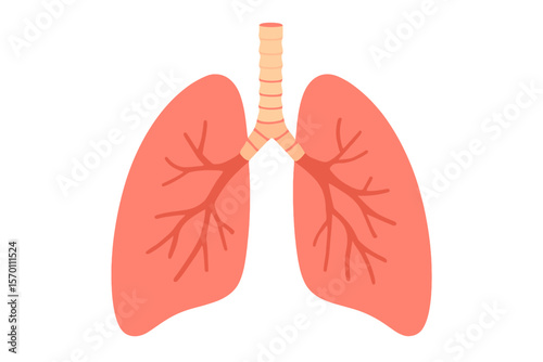 Human lung icon, a symbol of the respiratory system featuring healthy lungs anatomy in a flat medical organ illustration