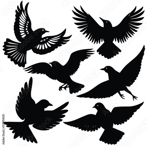 Six Bird Silhouette Vector Illustrations Perched and Flying Poses