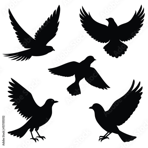 Bird Silhouette Vector Illustration Set Perched and Flying Poses Group of Six