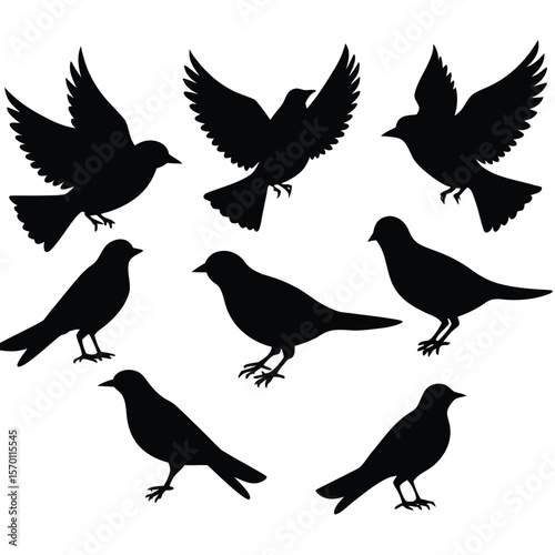 Bird Silhouette Vector Illustrations Perched and Flying Poses Group